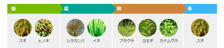 花粉症対策 クラストハウズ クラストハウズ 花粉症対策 クラストハウズ クラストハウズ